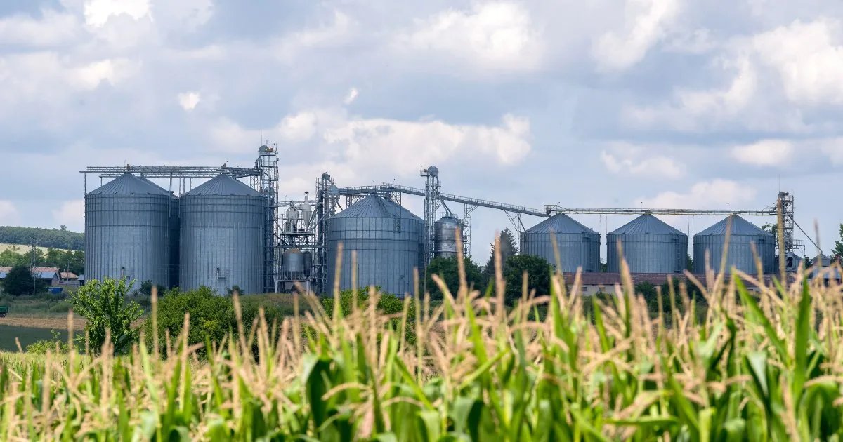Commercial flat-bottom grain silo complex with conveyor galleries and handling system — typical installation delivered by CFI Industries in Quebec